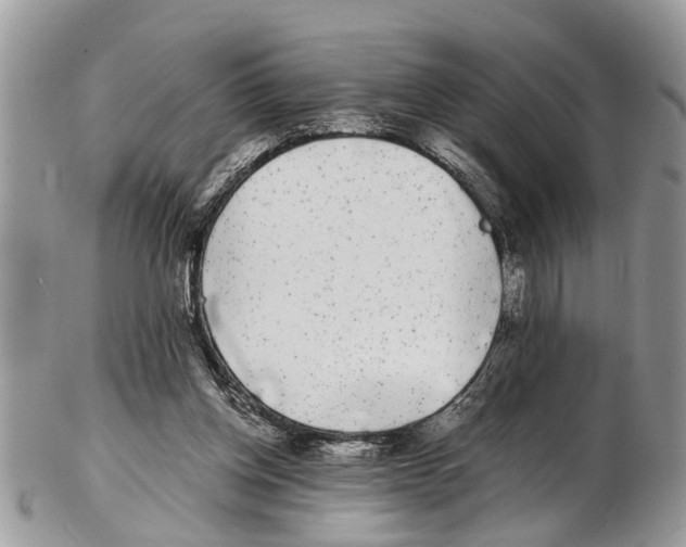 X0000102480158200809051404