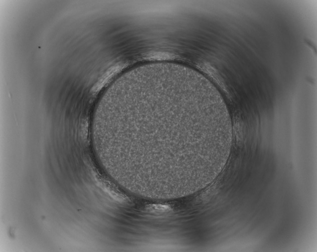 X0000102480159200809051404