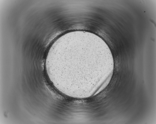 X0000102480160200809051404