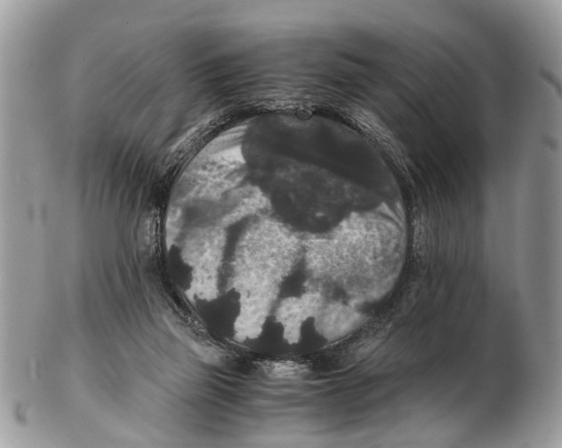 X0000102480165200809051405