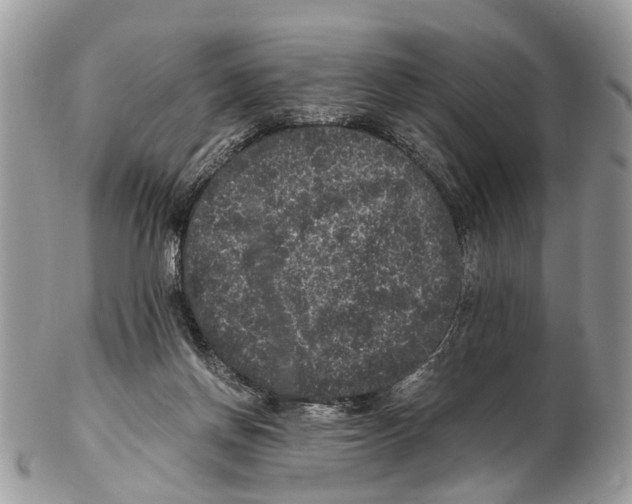 X0000102480166200809051405