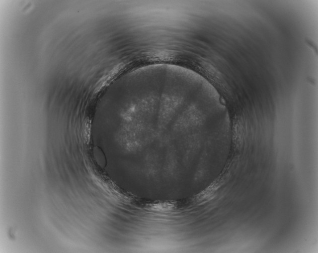 X0000102480168200809051405