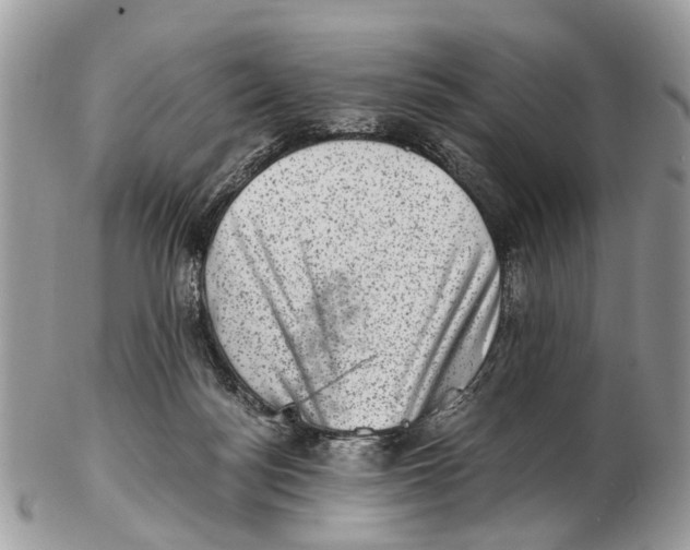 X0000102480172200809051405