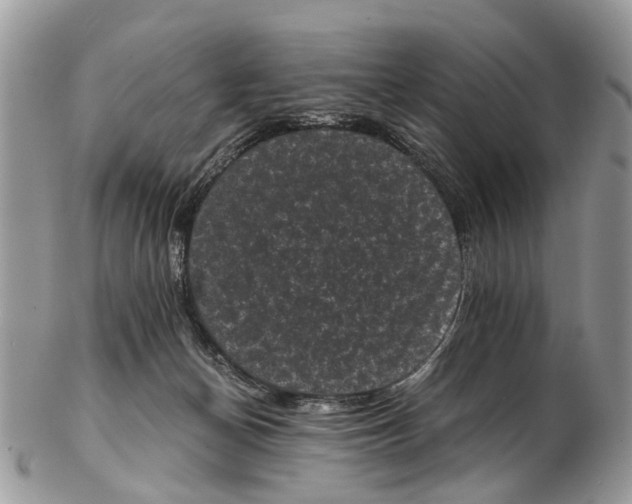 X0000102480174200809051405