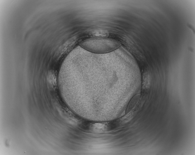 X0000102480176200809051405