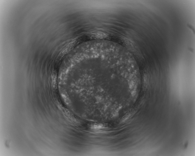 X0000102480177200809051405