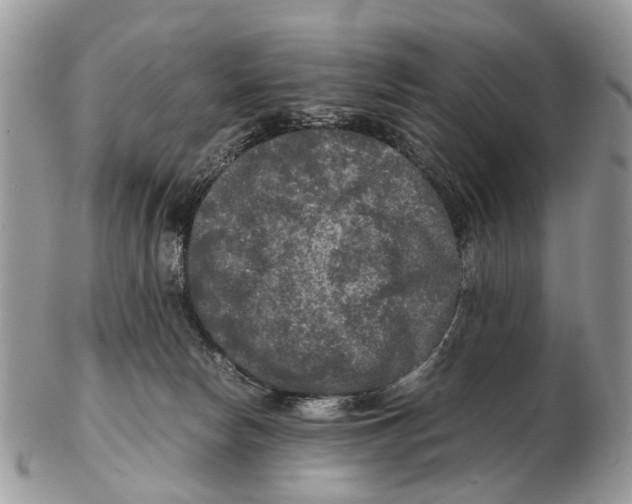 X0000102480178200809051405