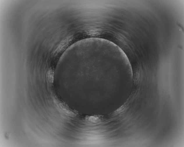 X0000102480180200809051405