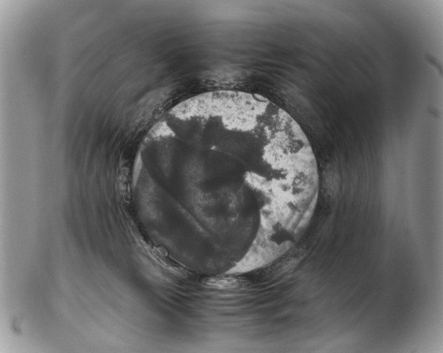 X0000102480181200809051405