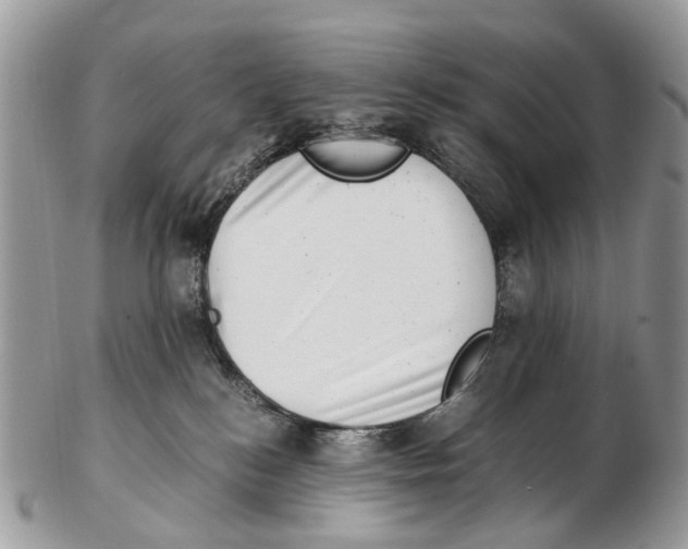 X0000102480184200809051405