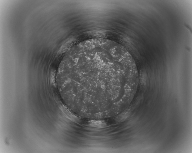 X0000102480185200809051405