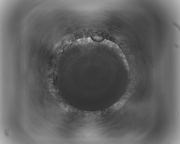 X0000102480192200809051405