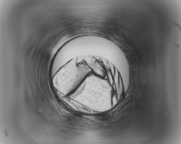 X0000102480195200809051404