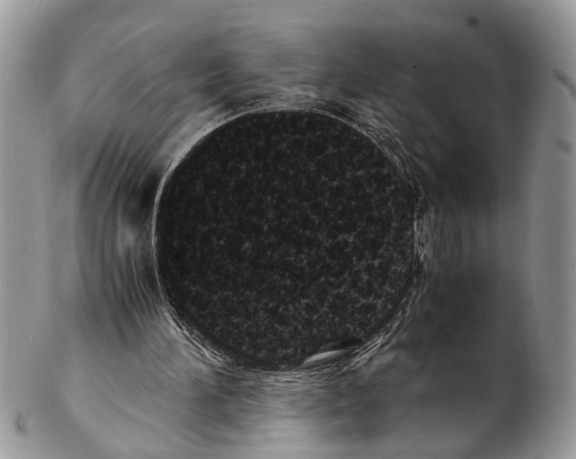 X0000102480196200809051404