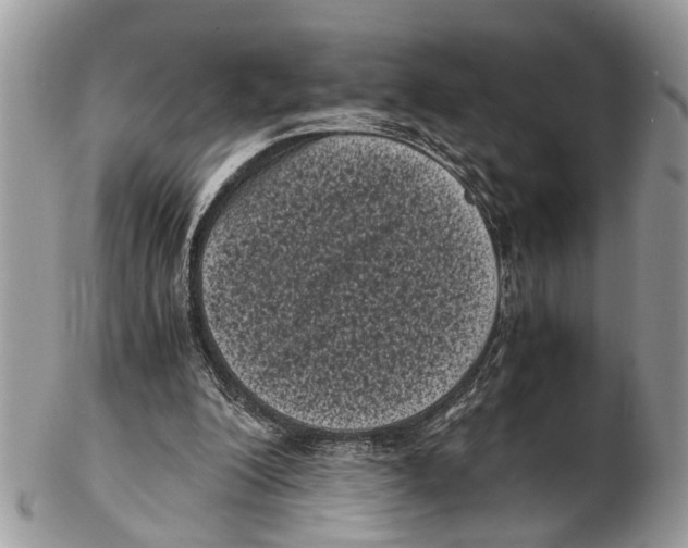 X0000102480200200809051404