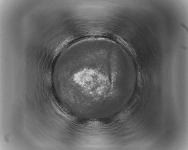 X0000102480203200809051404