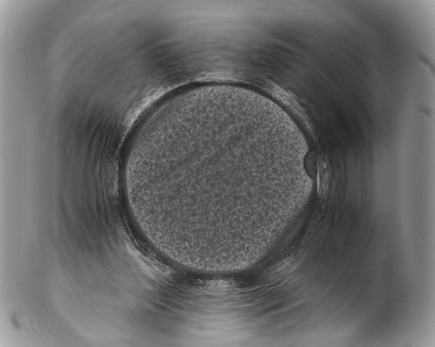 X0000102480204200809051404