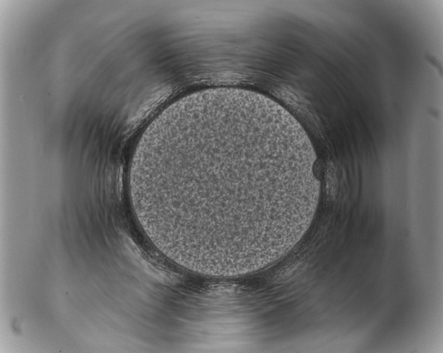 X0000102480206200809051404