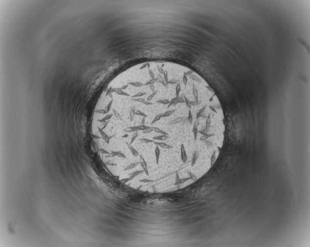 X0000102480208200809051404