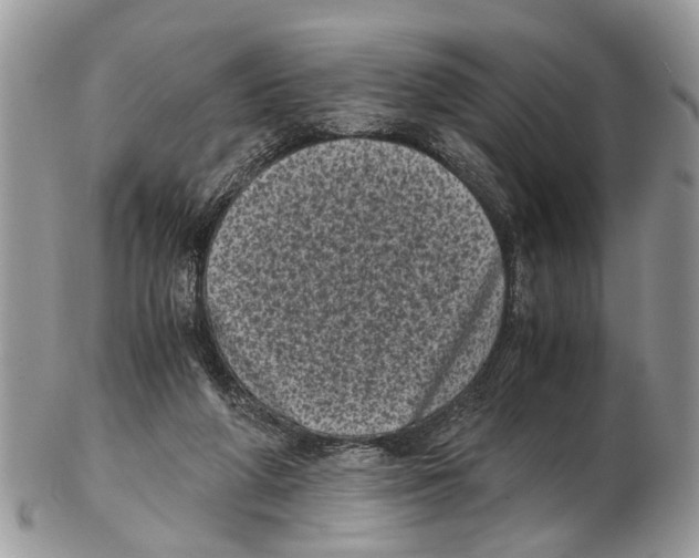 X0000102480210200809051404