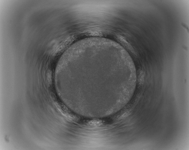 X0000102480213200809051404