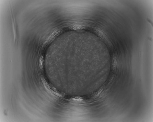 X0000102480214200809051404