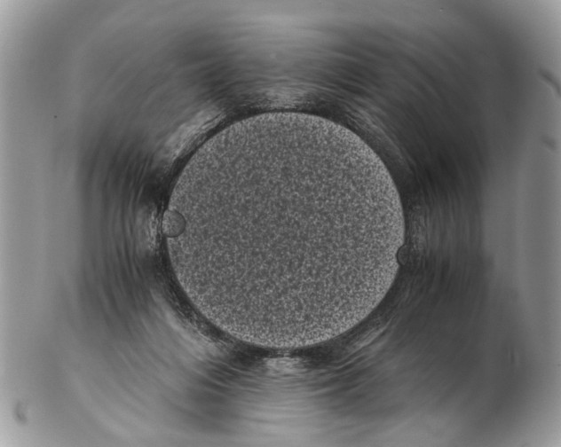 X0000102480216200809051404