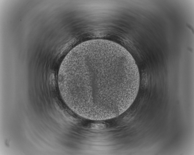 X0000102480220200809051404