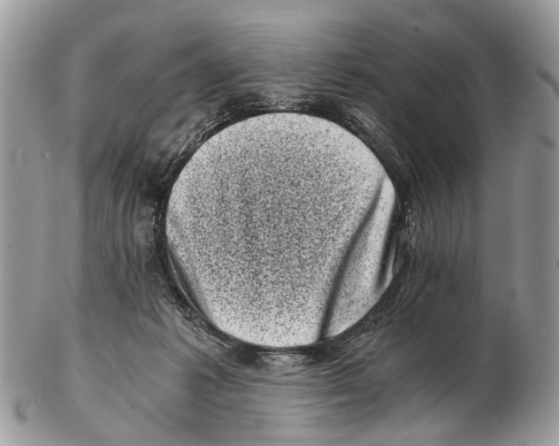 X0000102480221200809051404