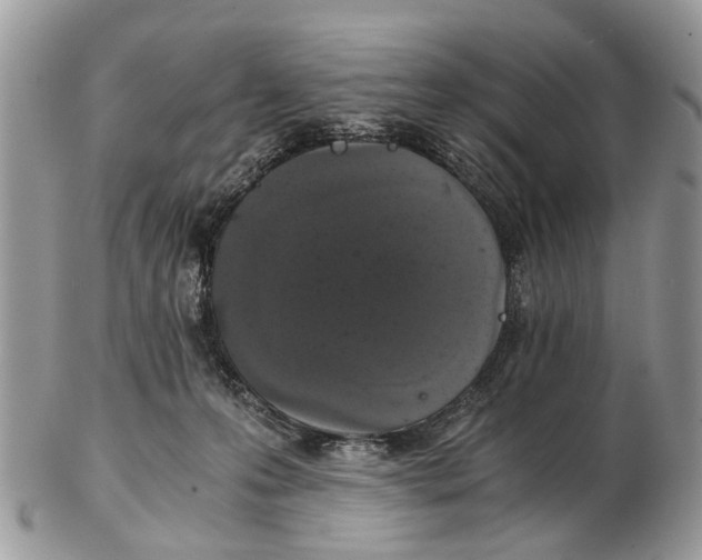 X0000102480223200809051404