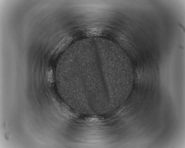 X0000102480224200809051404