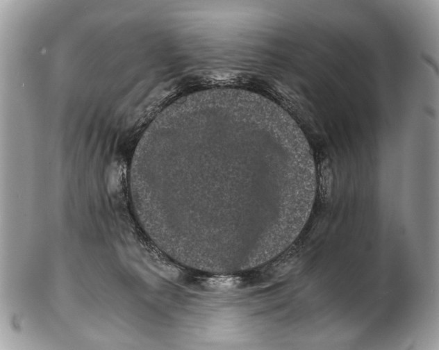 X0000102480225200809051404