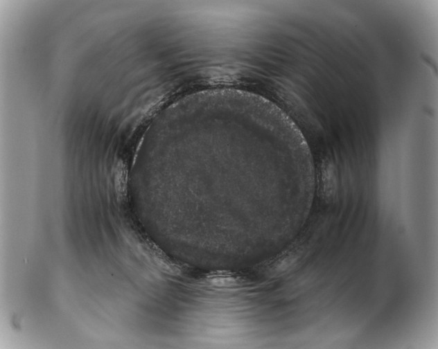 X0000102480228200809051404