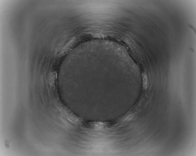 X0000102480229200809051404