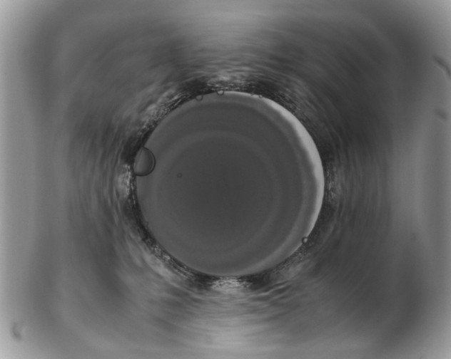 X0000102480231200809051404