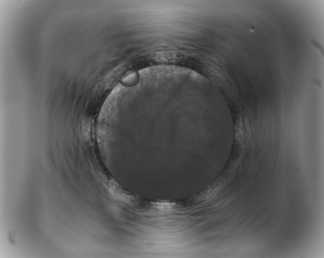 X0000102480233200809051404