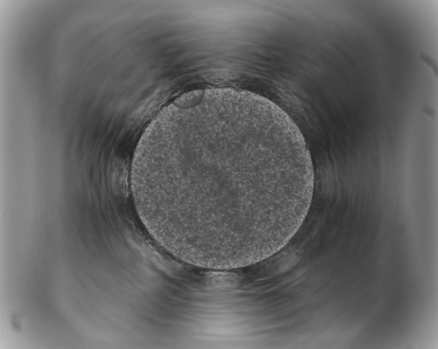 X0000102480234200809051404