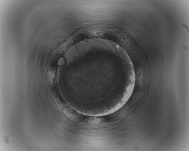 X0000102480235200809051404