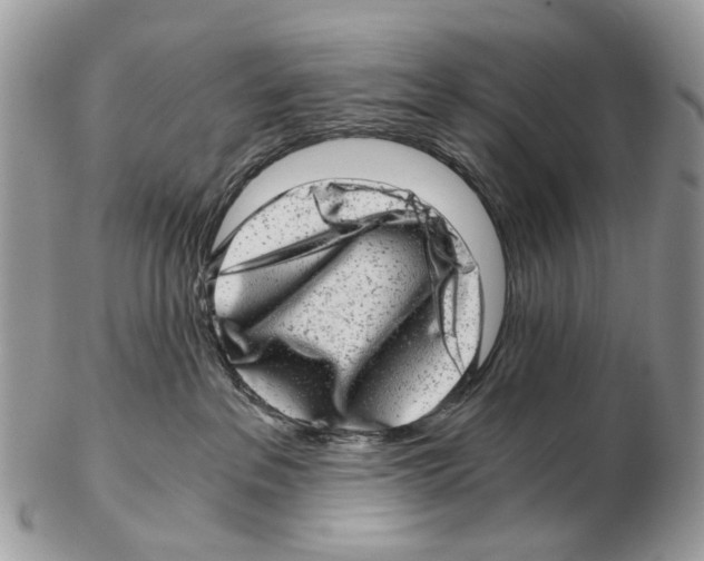 X0000102480237200809051404