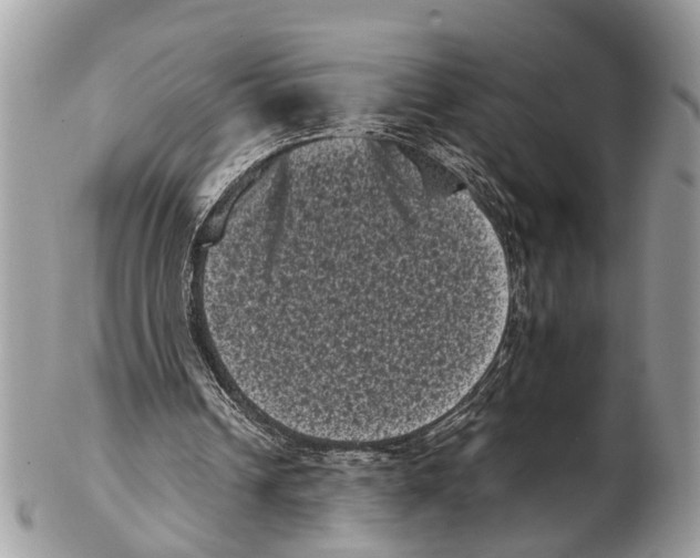 X0000102480242200809051403