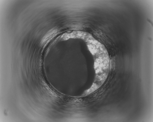 X0000102480243200809051403