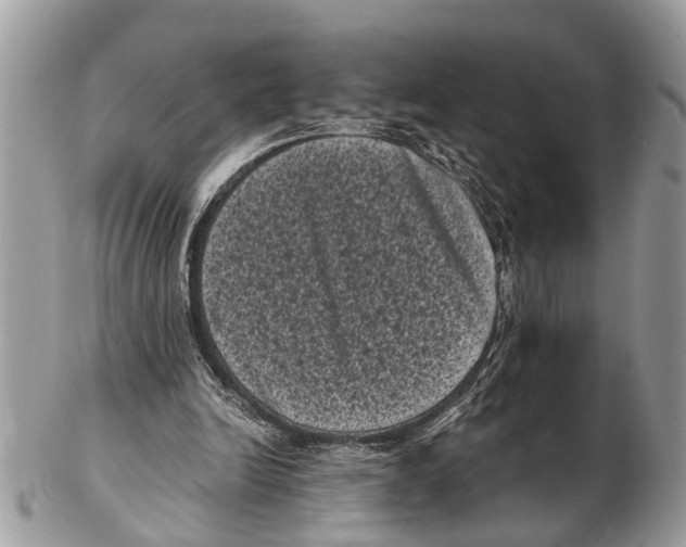 X0000102480246200809051403