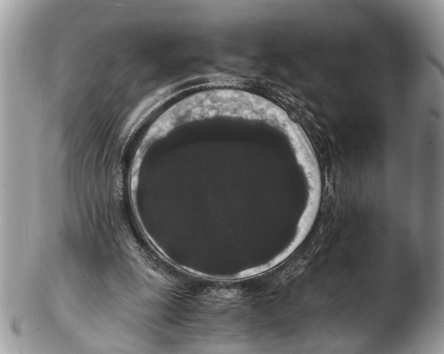 X0000102480247200809051403