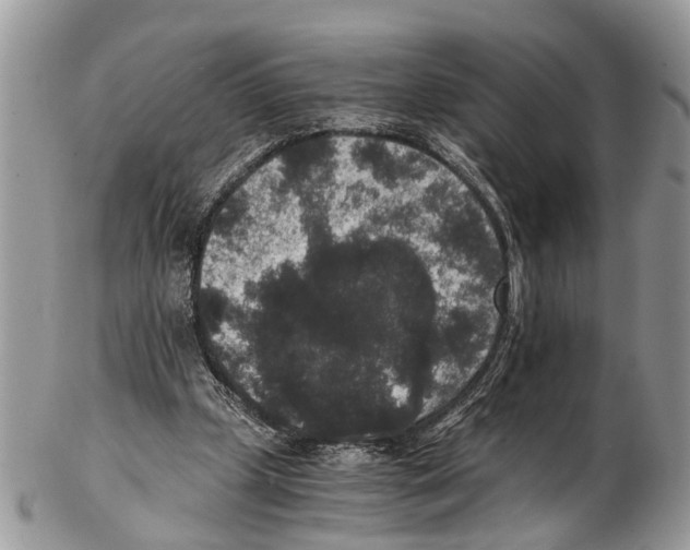 X0000102480249200809051403