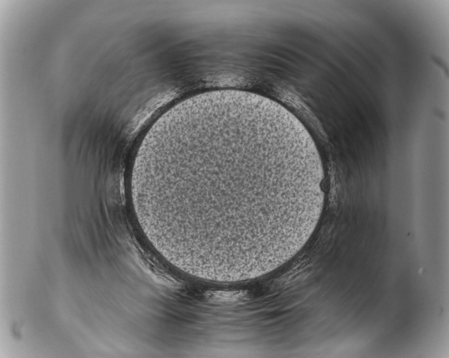 X0000102480251200809051403