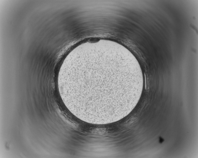 X0000102480252200809051403