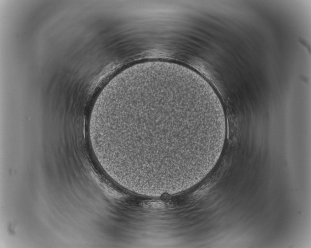 X0000102480253200809051403