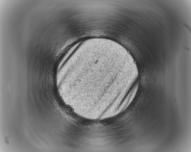 X0000102480256200809051403