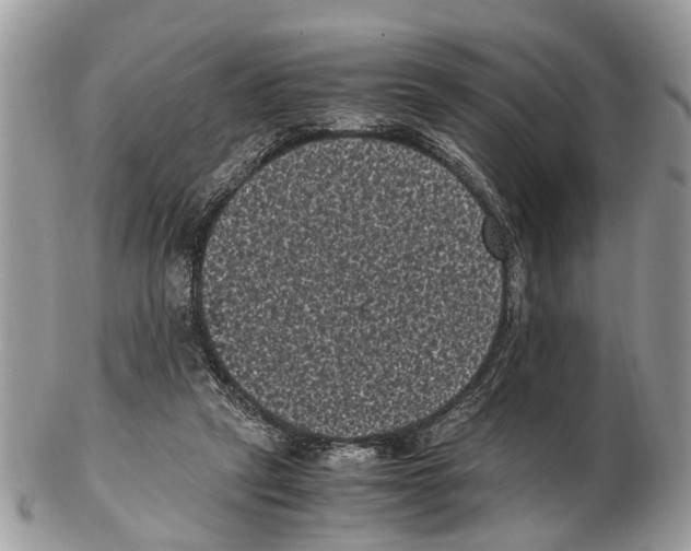 X0000102480257200809051403