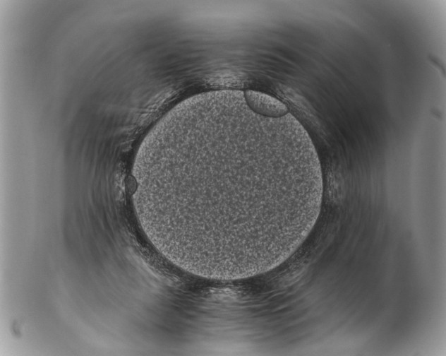 X0000102480259200809051403